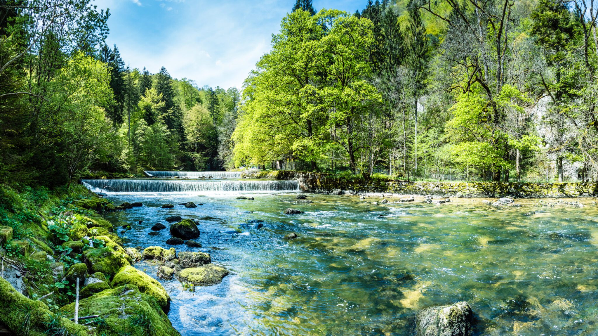 Clear river flowing through a lush green forest under a bright blue sky.