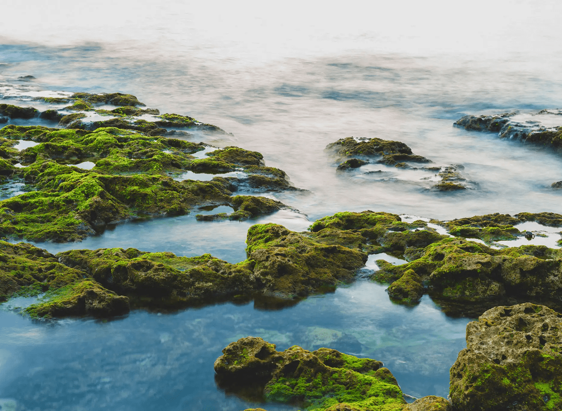 Moss-covered rocks by a calm sea under a misty sky.
