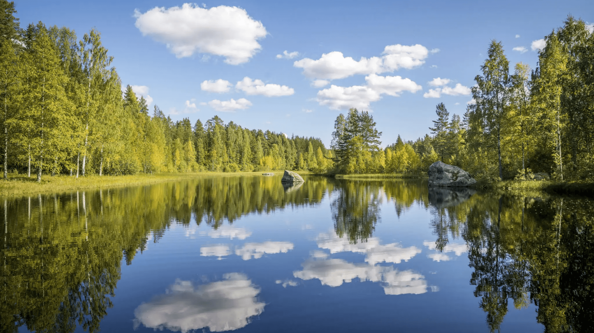 Calm river reflecting a blue sky with clouds and surrounding green forest.