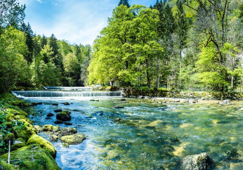Clear river flowing through a lush green forest under a bright blue sky.