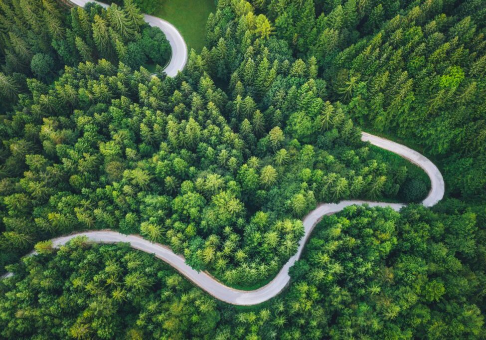 A winding road curves through a dense green forest from above.