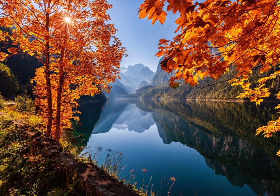 Autumn leaves frame a serene lake with mountains in the background.