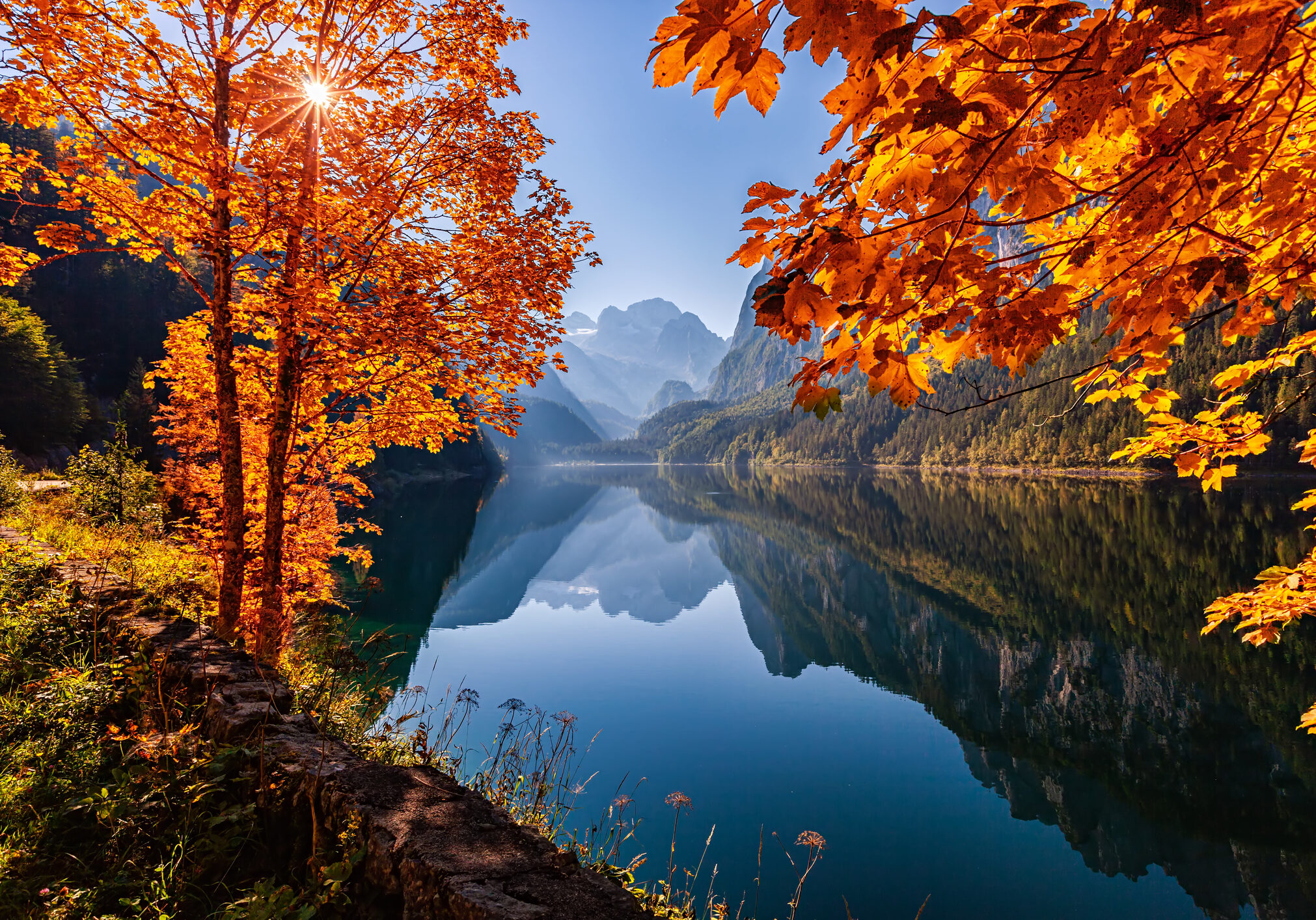 Autumn leaves frame a serene lake with mountains in the background.