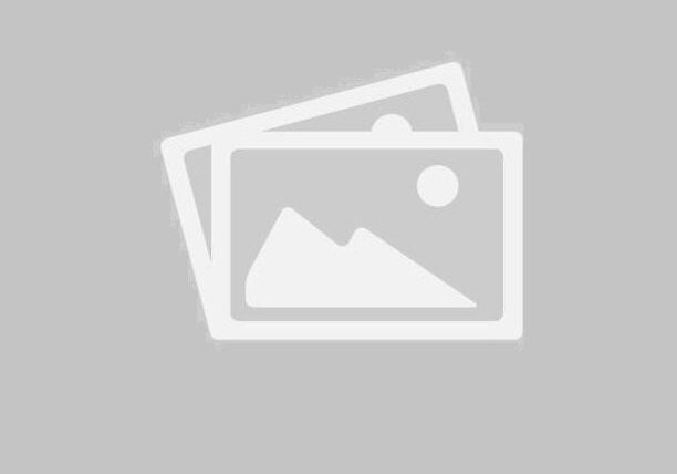 Scenic mountain landscape with a wooden cabin and pine trees.