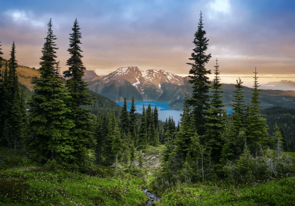Mountain landscape with evergreen trees and a serene lake at sunset.