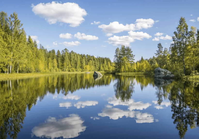 Calm river reflecting a blue sky with clouds and surrounding green forest.
