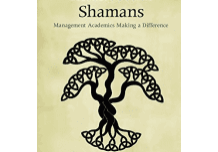 Book cover: "Intellectual Shamans" by Sandra Waddock.