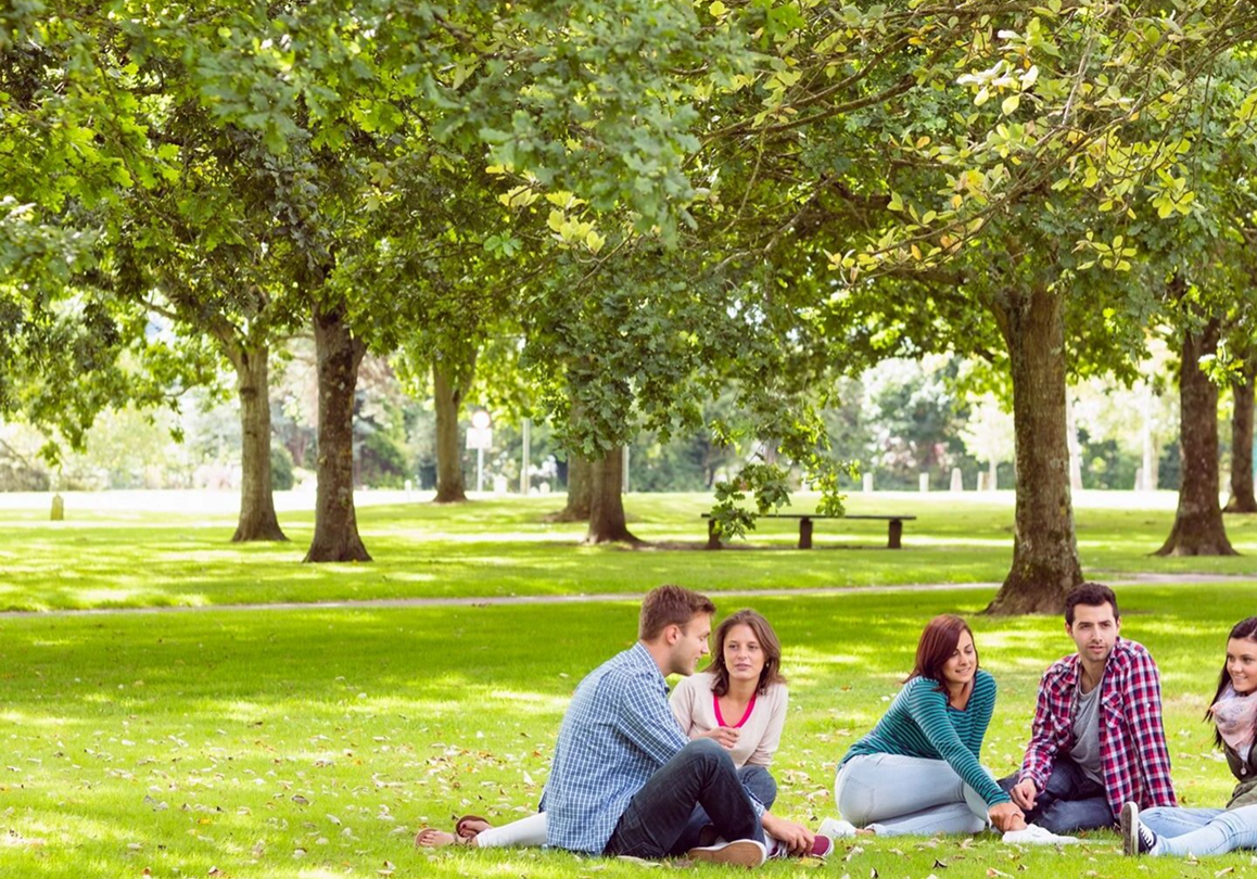 Group sitting on grass in a park.
